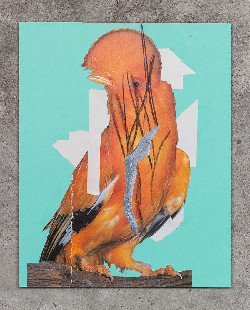 oranger Papagei vor türkis - verschiedene Collagen aus dem schönen Schere Leim Papier Mixed Media Kunst Projekt vom Künstler Markus Wülbern